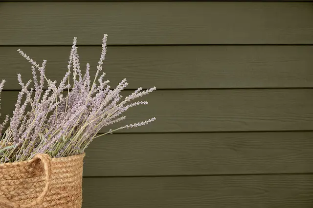 Hardie Plank lap siding close-up
